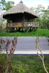 Bungalow at Amaru-Amazonia, and view from
 it over the jungle.